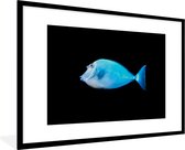 Fotolijst incl. Poster - Vis - Zeedieren - Zwart - 120x80 cm - Posterlijst