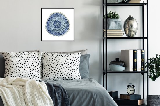 Photo encadrée - Cellules dans un cadre photo oignon 40x40 cm - Affiche encadrée (Décoration murale salon / chambre)