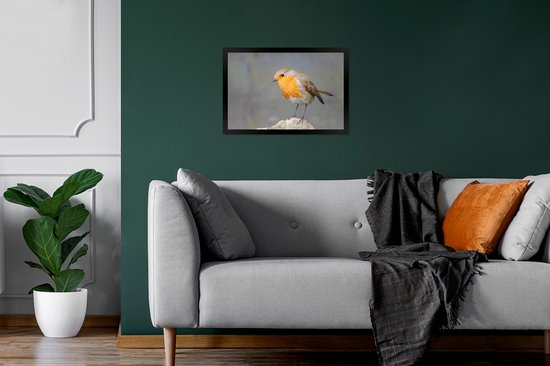 Cadre photo avec affiche - Vogel - Robin - Rocher - 30x20 cm - Cadre pour affiche