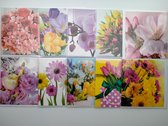 cartes de vœux - vierges - fleur - 10x - carrées