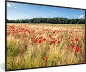 Affiche avec cadre Coquelicot - Coquelicots dans un champ devant une forêt cadre photo noir - cadre photo noir - 30x20 cm - Affiche avec cadre