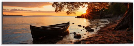 Dibond - Boot - Boom - Strand - Stenen - 60x20 cm Foto op Aluminium (Wanddecoratie van metaal)