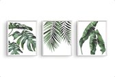 Postercity - Design Canvas Poster Set Botanische - Palmboom Tropische Planten / Planten Poster / Muurdecoratie / 50 x 40cm