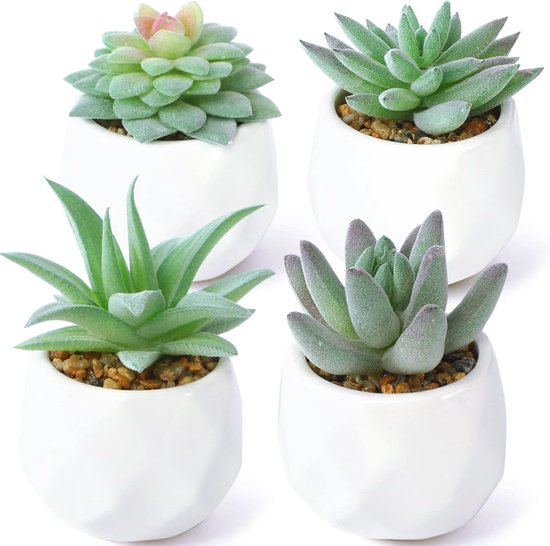 Petites Plantes Artificielles