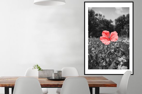 Cadre photo avec affiche - Fleurs - Rose - Zwart - Wit - 80x120 cm - Cadre pour affiche