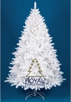 Royal Christmas Witte Kunstkerstboom Washington Promo 210cm