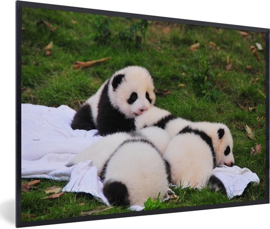 Les pandas nouveau-nés se couchent ensemble 120x80 cm