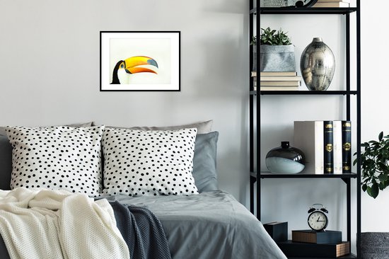 la tête d'un toucan