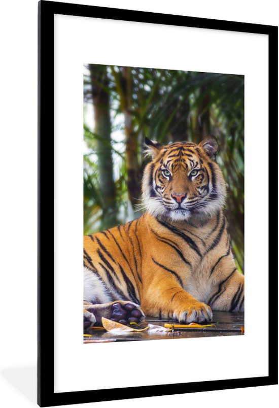 Fotolijst incl. Poster - Tijger - Dieren - Bos - Bladeren - Jungle - 80x120 cm - Posterlijst