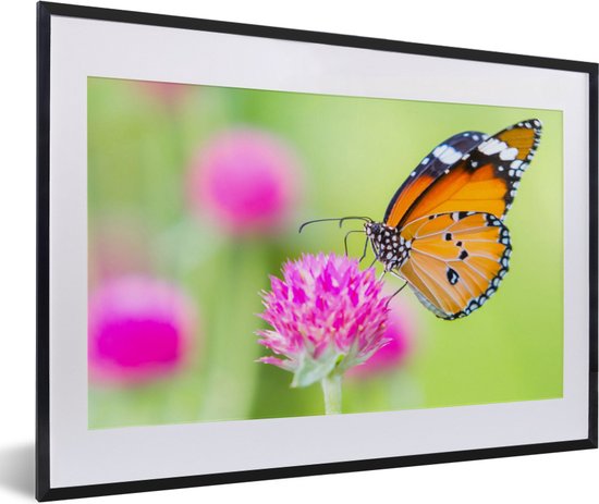Fotolijst incl. Poster - Insecten - Vlinders - Bloemen - 60x40 cm - Posterlijst