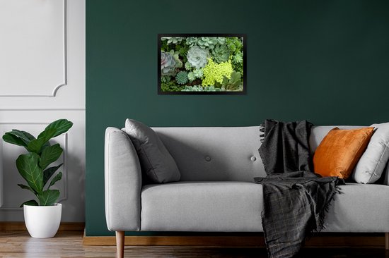 Photo en cadre - Photo de cadre photo succulent botanique coloré noir 30x20 cm - Affiche sous cadre (Décoration murale salon / chambre)