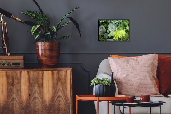 Photo en cadre - Photo de cadre photo succulent botanique coloré noir 30x20 cm - Affiche sous cadre (Décoration murale salon / chambre)