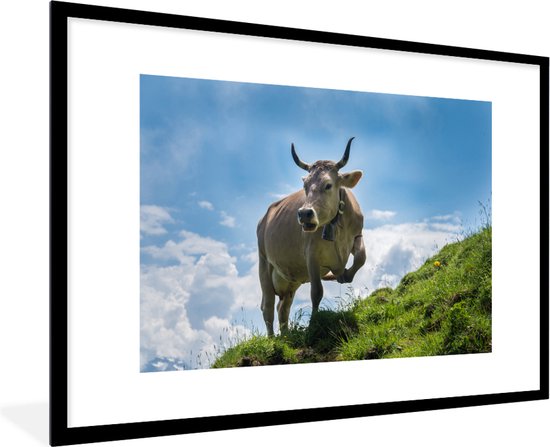 Photo en cadre - Une vache alpine sur trois pieds cadre photo noir avec passe-partout blanc xxl 120x80 cm - Affiche sous cadre (Décoration murale salon / chambre)