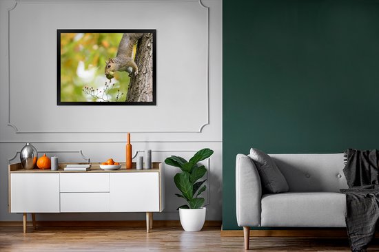 Cadre photo - Écureuil gris en automne cadre photo noir sans passe-partout 80x60 cm - Affiche sous cadre (Décoration murale salon / chambre)