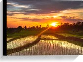 Canvas - Zonsondergang bij de Rijstvelden in Indonesië - 40x30 cm Foto op Canvas Schilderij (Wanddecoratie op Canvas)