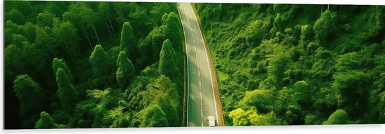 Dibond - Bomen - Bossen - Weg - Auto - Voertuig - 120x40 cm Foto op Aluminium (Wanddecoratie van metaal)