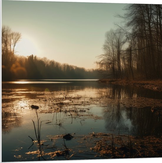 PVC Schuimplaat - Zachte Zonnestralen op het Wateroppervlak langs Rij Bomen - 80x80 cm Foto op PVC Schuimplaat (Met Ophangsysteem)