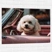 Muursticker - Wit Hondje Zittend in Roze Auto - 100x75 cm Foto op Muursticker