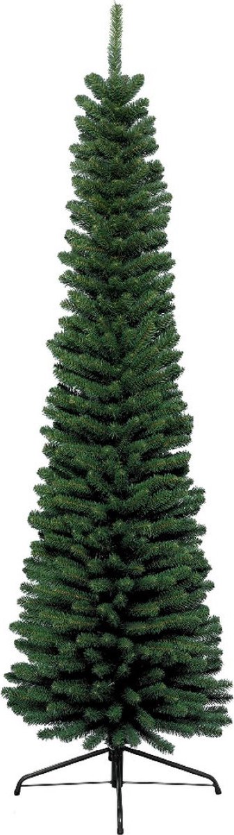 Everlands Pencil Pine - 300 cm