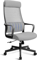 Ergonomische bureaustoel - hoge rugleuning met lendensteun en hoofdsteun, draaistoel, 48-54 cm gasveer bureaustoel en armleuningen, tot 150 kg, 330 lb laadvermogen, grijs