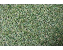 Nibashop kunstgras - 20mm - 1x2m² - hoogwaardig kunstgras - uv bestendig - voor binnen, buiten en balkon - grastapijt