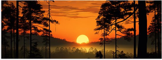 Poster (Mat) - Zakkende Zon bij Silhouetten van Hoge Bomen - 60x20 cm Foto op Posterpapier met een Matte look