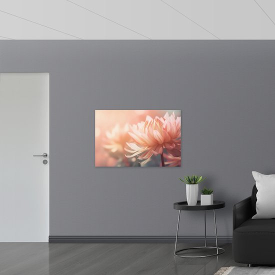 Acrylglas - Vol Bloeiende Licht Roze Chrysant Bloemen - 105x70 cm Foto op Acrylglas (Met Ophangsysteem)