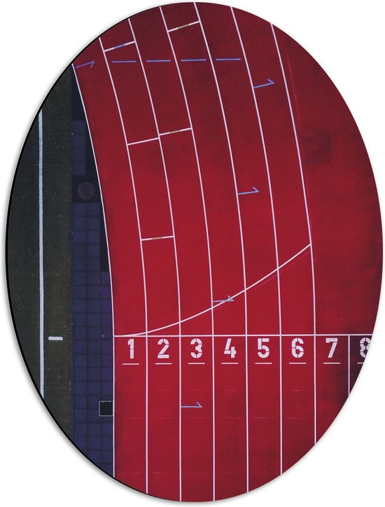 Dibond Ovaal - Bovenaanzicht van Renbanen op Atletiek Veld - 42x56 cm Foto op Ovaal (Met Ophangsysteem)