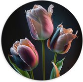 Dibond Muurcirkel - Roze tulpen voor een zwarte achtergrond - Bloemen - 70x70 cm Foto op Aluminium Muurcirkel (met ophangsysteem)