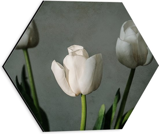 Dibond Hexagon - Witte Tulpen Op Lange Stengels voor Grijze Achtergrond - Bloemen - 30x26.1 cm Foto op Hexagon (Met Ophangsysteem)