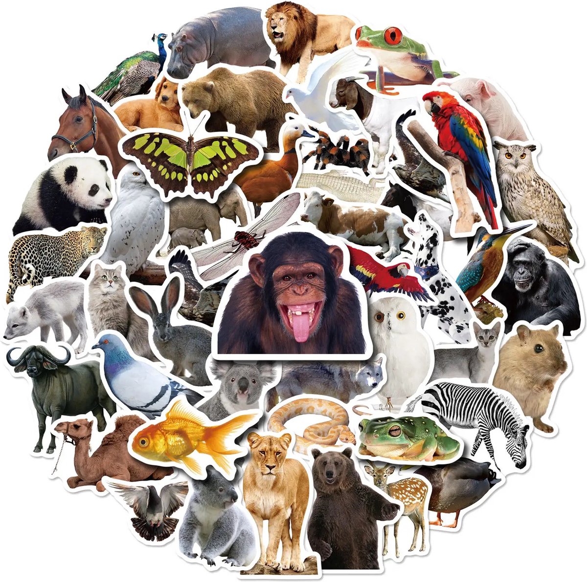 Dieren Stickers 50 Stuks | Animals Stickers | Dierentuin Dieren | Aap | Vlinder | Leeuw | Panda | Vis | Kameel | Laptop Stickers | Stickers | Stickervellen | Plakstickers | Koffer Stickers | Stickers Bullet Journal Planner