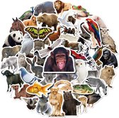 Dieren Stickers 50 Stuks | Animals Stickers | Dierentuin Dieren | Aap | Vlinder | Leeuw | Panda | Vis | Kameel | Laptop Stickers | Stickers Kinderen en Volwassenen | Stickervellen | Plakstickers | Koffer Stickers | Stickers Bullet Journal en Planner