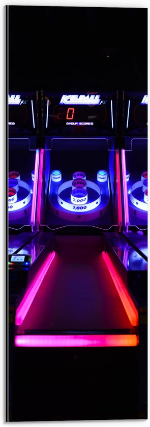 Dibond - Ballengooien Spel in Arcade Hal - 20x60 cm Foto op Aluminium (Met Ophangsysteem)