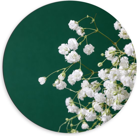 Dibond Muurcirkel - Kleine Witte Bloemen aan Takjes Voor Donker Groene Achtergrond - 60x60 cm Foto op Aluminium Muurcirkel (met ophangsysteem)