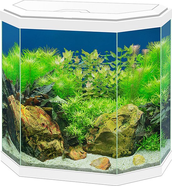 Aquarium Home 30 Blanc - 25L - Superfish —