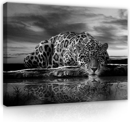 Canvas Schilderij - Jaguar - Grijze kleuren - Zonsondergang - Cheeta - Dieren - Lucht - Wild - Natuur - Afrika - Schilderij Woonkamer - Schilderijen op canvas - Inclusief Frame - 80x60cm (LxB)