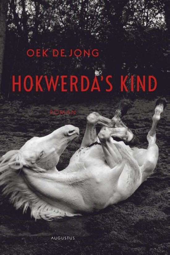 Hokwerda's kind - cover