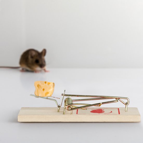 Piège à souris en bois Relaxdays - lot de 25 - classique - pince à souris réutilisable - efficace