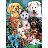 Happy Painter Diamond Painting Volwassenen & Kinderen - Puppy's in Tuin - 30x40 cm - Diamond Painting Volledig Pakket