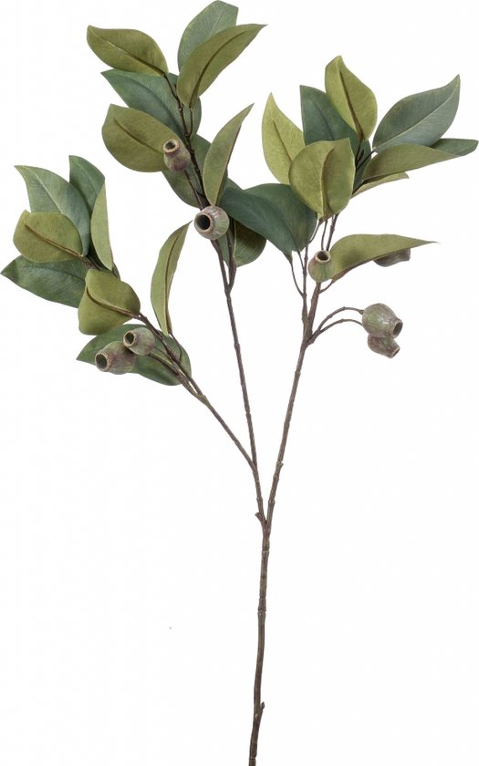 Emerald Kunstbloem Kunsttak Eucalyptus Peulen - Polyester - Groen - 80 cm hoog