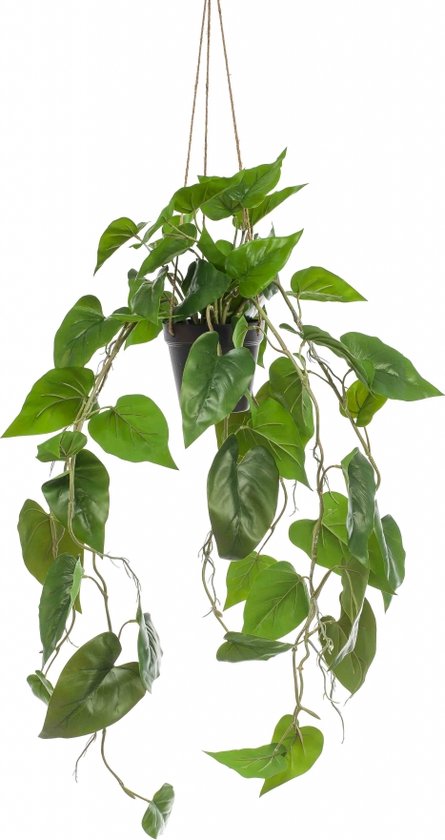 Fleurdirect Hangplant Philodendron - Polyester - Groen - 0 x 80 x 0 cm (BxHxD)