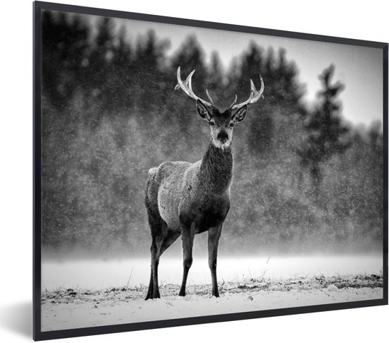 Fotolijst incl. Poster - Dieren - Hert - Winter - Zwart - Wit - 80x60 cm - Posterlijst