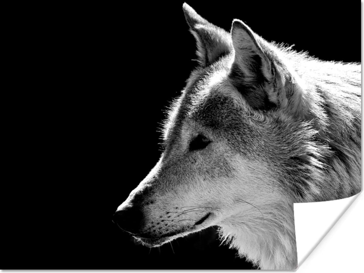 Poster Wilde dieren - Wolf - Zwart - Wit - 40x30 cm