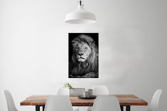 Poster Animaux sauvages - Lion - noir - Wit - 40x60 cm