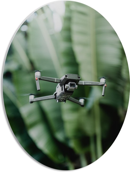 PVC Schuimplaat Ovaal - Drone Vliegend tussen de Groene Palmbladeren - 42x56 cm Foto op Ovaal (Met Ophangsysteem)
