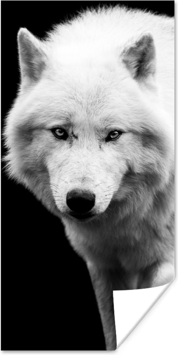Poster Wolf - Dier - Zwart - Wit - 75x150 cm