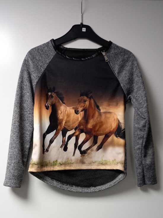 Trui paarden - rits - sweater - 6 jaar