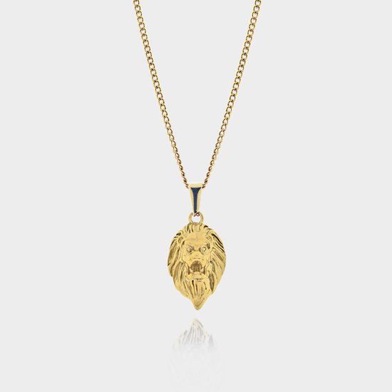 Leeuw Hanger Ketting - Gouden Lion Pendant Ketting - 50 cm lang - Ketting Heren met Hanger - Griekse Mythen - Olympus Jewelry