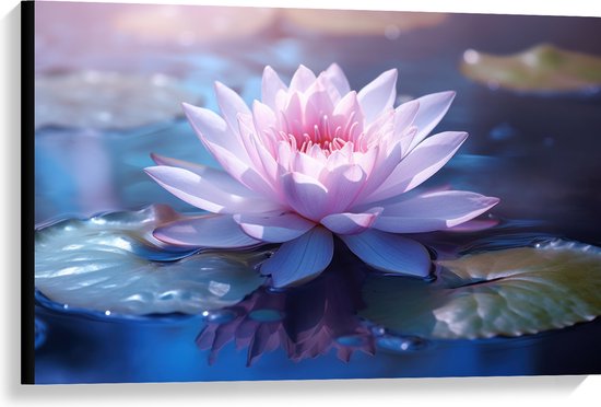 Canvas - Licht Roze Waterlelie Drijvend op Water en Leliebladeren - Bloemen - 90x60 cm Foto op Canvas Schilderij (Wanddecoratie op Canvas)