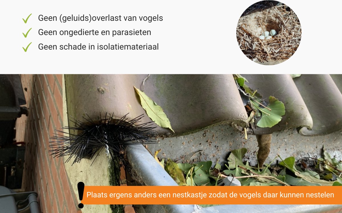 KOTARBAU Joint de brosse en aluminium à visser 100 cm x 60 mm bas de porte isolant bas porte